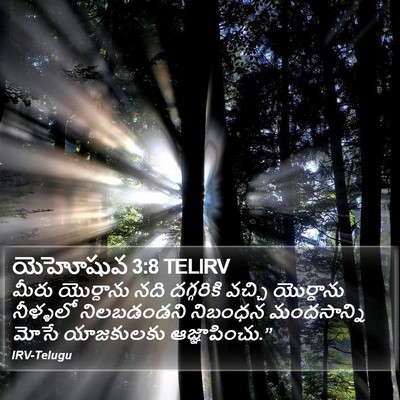 యెహోషువ 3:8 TELIRV Bible Verse Image
