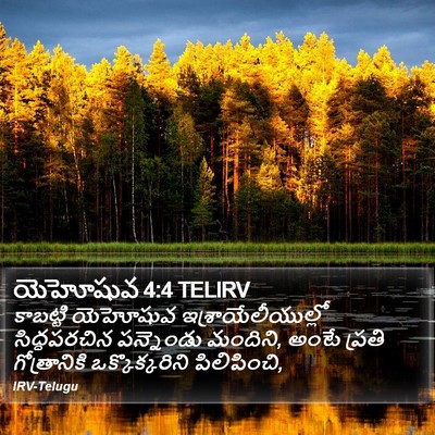 యెహోషువ 4:4 TELIRV Bible Verse Image