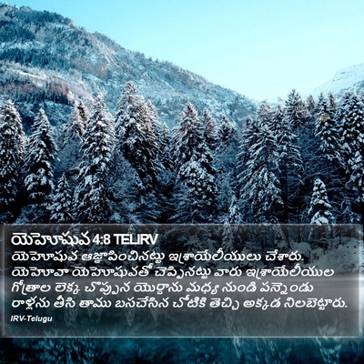 యెహోషువ 4:8 TELIRV Bible Verse Image
