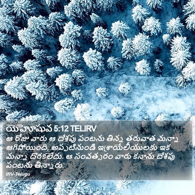 యెహోషువ 5:12 TELIRV Bible Verse Image