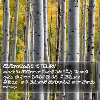 యెహోషువ 5:15 TELIRV Bible Verse Image