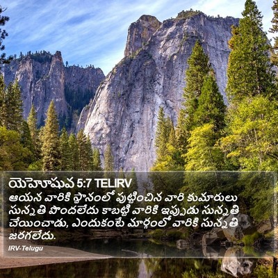 యెహోషువ 5:7 TELIRV Bible Verse Image