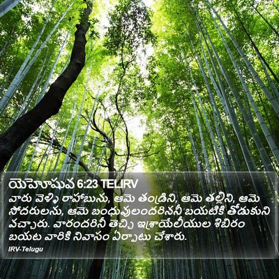 యెహోషువ 6:23 TELIRV Bible Verse Image