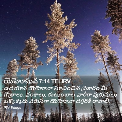 యెహోషువ 7:14 TELIRV Bible Verse Image
