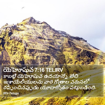 యెహోషువ 7:16 TELIRV Bible Verse Image