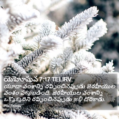 యెహోషువ 7:17 TELIRV Bible Verse Image