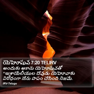 యెహోషువ 7:20 TELIRV Bible Verse Image