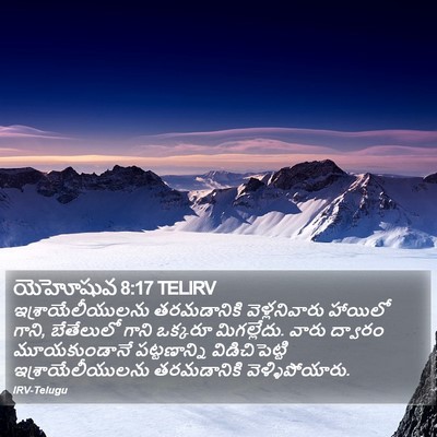యెహోషువ 8:17 TELIRV Bible Verse Image