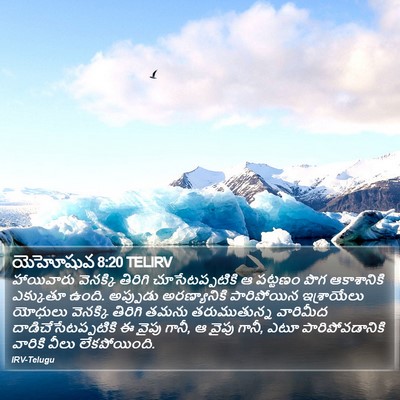 యెహోషువ 8:20 TELIRV Bible Verse Image