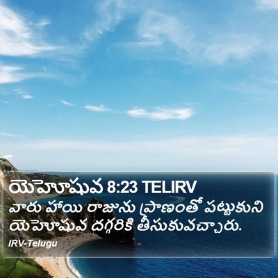 యెహోషువ 8:23 TELIRV Bible Verse Image