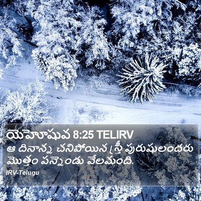 యెహోషువ 8:25 TELIRV Bible Verse Image