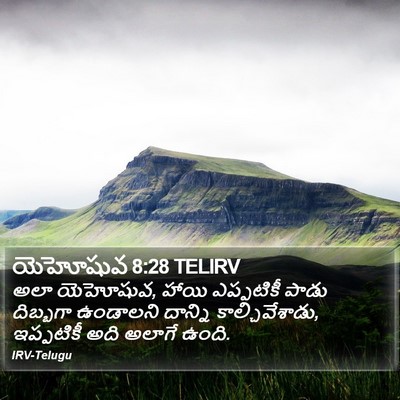 యెహోషువ 8:28 TELIRV Bible Verse Image