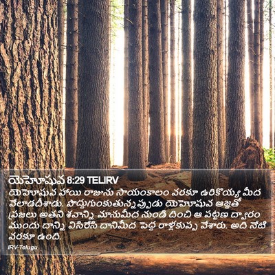 యెహోషువ 8:29 TELIRV Bible Verse Image