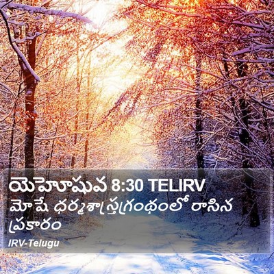 యెహోషువ 8:30 TELIRV Bible Verse Image