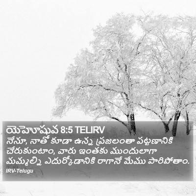 యెహోషువ 8:5 TELIRV Bible Verse Image