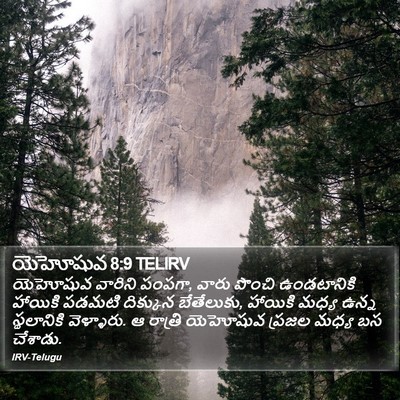 యెహోషువ 8:9 TELIRV Bible Verse Image