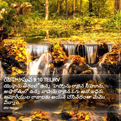 యెహోషువ 9:10 TELIRV Bible Verse Image