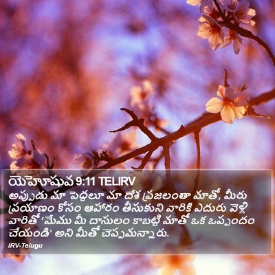 యెహోషువ 9:11 TELIRV Bible Verse Image