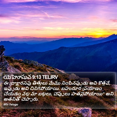 యెహోషువ 9:13 TELIRV Bible Verse Image
