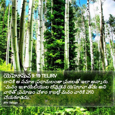 యెహోషువ 9:19 TELIRV Bible Verse Image