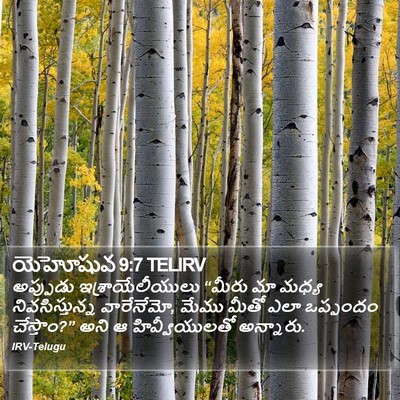 యెహోషువ 9:7 TELIRV Bible Verse Image