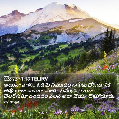 యోనా 1:13 TELIRV Bible Verse Image