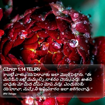 యోనా 1:14 TELIRV Bible Verse Image