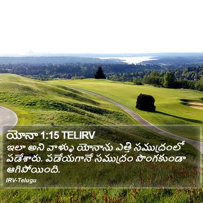 యోనా 1:15 TELIRV Bible Verse Image