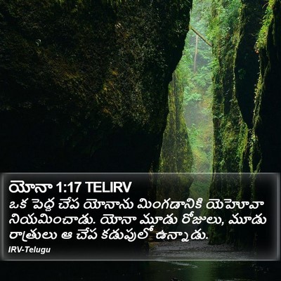 యోనా 1:17 TELIRV Bible Verse Image
