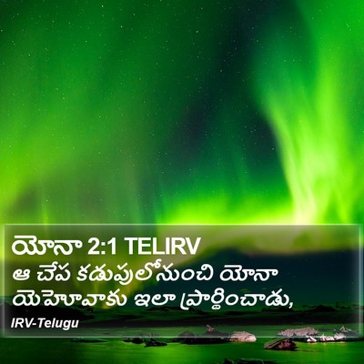 యోనా 2:1 TELIRV Bible Verse Image
