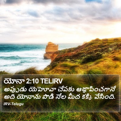యోనా 2:10 TELIRV Bible Verse Image