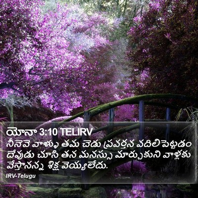 యోనా 3:10 TELIRV Bible Verse Image
