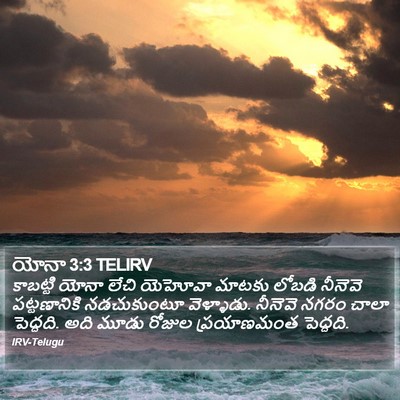 యోనా 3:3 TELIRV Bible Verse Image