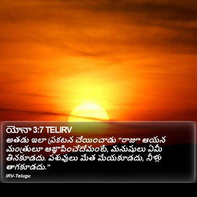 యోనా 3:7 TELIRV Bible Verse Image