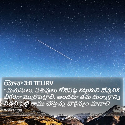 యోనా 3:8 TELIRV Bible Verse Image