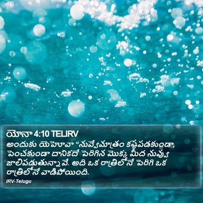 యోనా 4:10 TELIRV Bible Verse Image