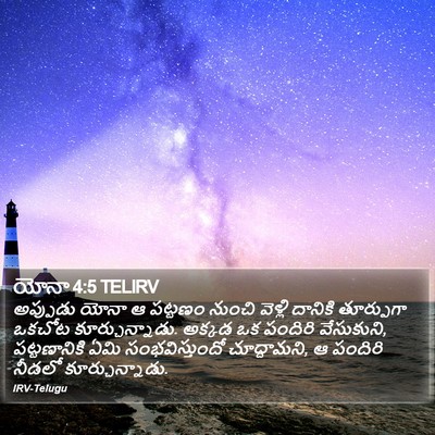 యోనా 4:5 TELIRV Bible Verse Image