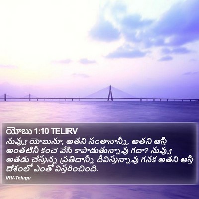 యోబు 1:10 TELIRV Bible Verse Image