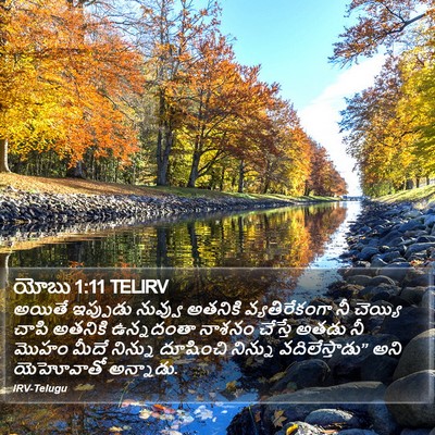 యోబు 1:11 TELIRV Bible Verse Image