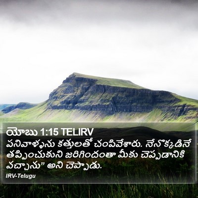యోబు 1:15 TELIRV Bible Verse Image