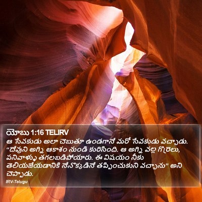యోబు 1:16 TELIRV Bible Verse Image