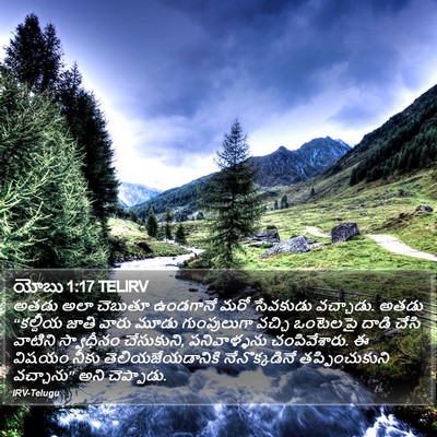 యోబు 1:17 TELIRV Bible Verse Image