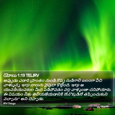 యోబు 1:19 TELIRV Bible Verse Image
