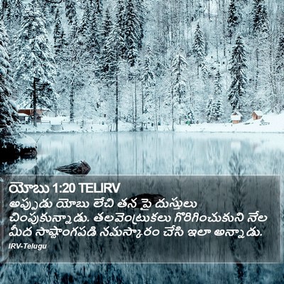 యోబు 1:20 TELIRV Bible Verse Image