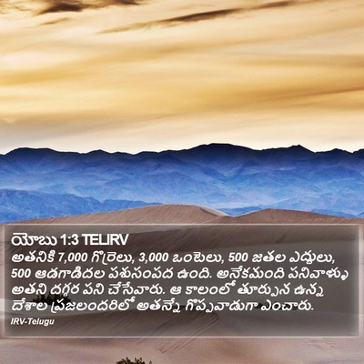 యోబు 1:3 TELIRV Bible Verse Image