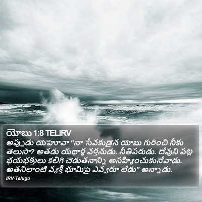 యోబు 1:8 TELIRV Bible Verse Image