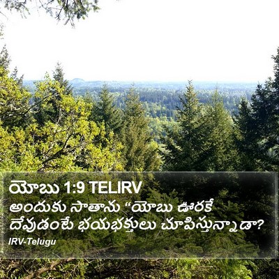 యోబు 1:9 TELIRV Bible Verse Image