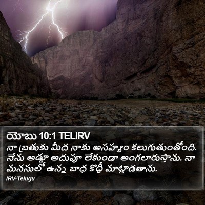 యోబు 10:1 TELIRV Bible Verse Image