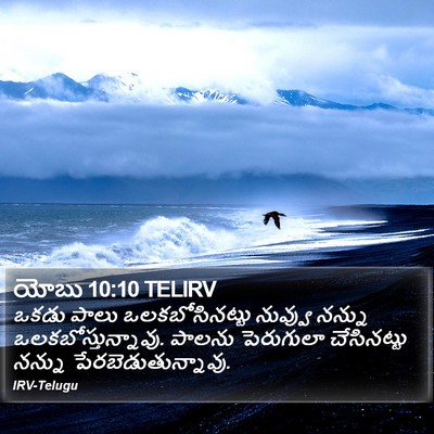 యోబు 10:10 TELIRV Bible Verse Image