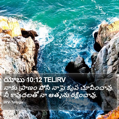 యోబు 10:12 TELIRV Bible Verse Image
